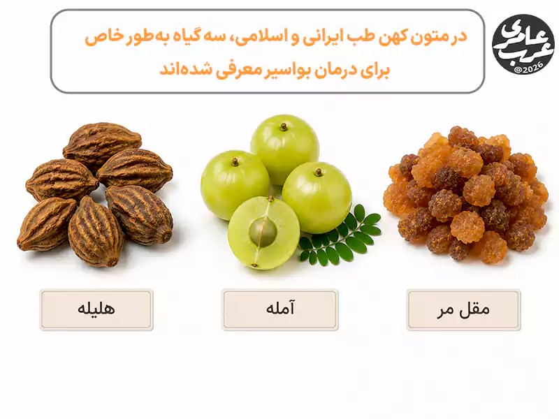 در متون کهن طب ایرانی و اسلامی، سه گیاه( هلیله و آمله و مقل) بهطور خاص برای درمان بواسیر معرفی شدهاند