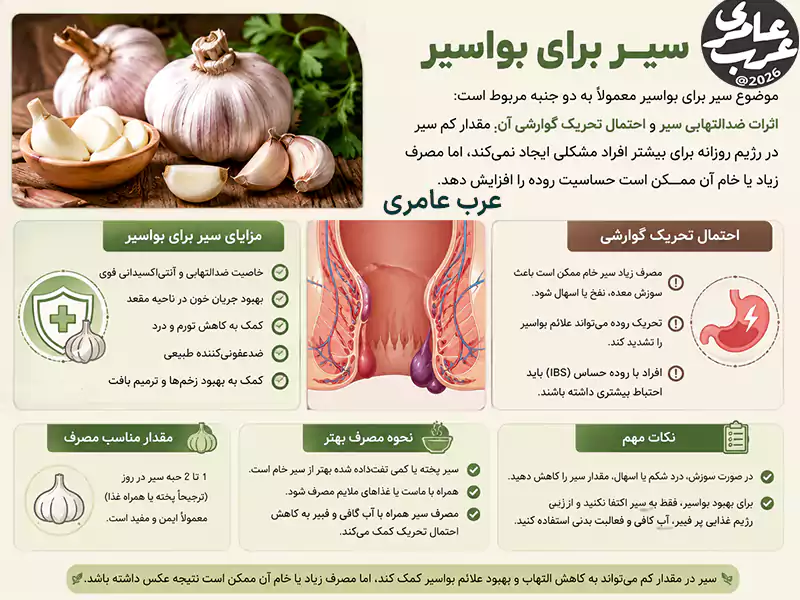 سیر و درمان بواسیر آیا خوردن سیر برای هموروئید خوب است