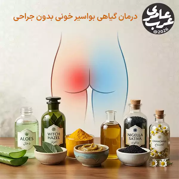 درمان گیاهی بواسیر خونی یکی از اولین راهکارهایی است که بسیاری از افراد پس از مشاهده خونریزی هنگام دفع، سوزش یا درد در ناحیه مقعد به دنبال آن میگردند